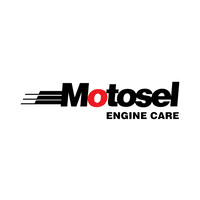 Motosel Industrial Group Inc.